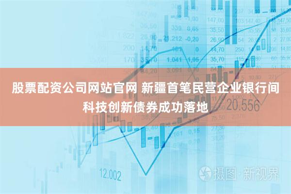 股票配资公司网站官网 新疆首笔民营企业银行间科技创新债券成功落地