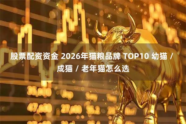 股票配资资金 2026年猫粮品牌 TOP10 幼猫 / 成猫 / 老年猫怎么选