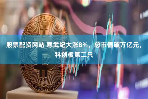 股票配资网站 寒武纪大涨8%，总市值破万亿元，科创板第二只