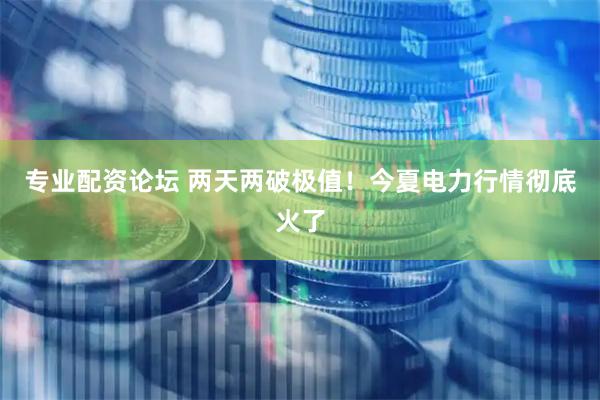 专业配资论坛 两天两破极值！今夏电力行情彻底火了